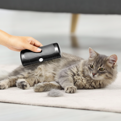 Geen losse haren meer in huis – zonder trekken of stress voor je hond