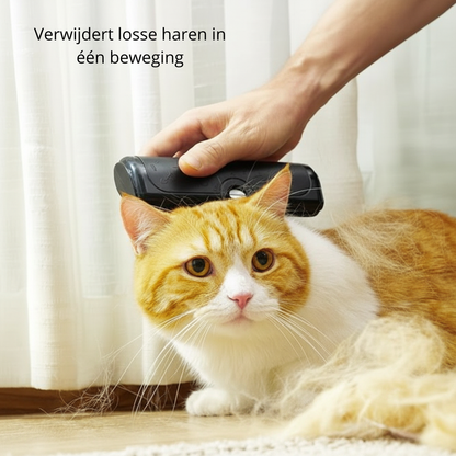 Geen losse haren meer in huis – zonder trekken of stress voor je hond