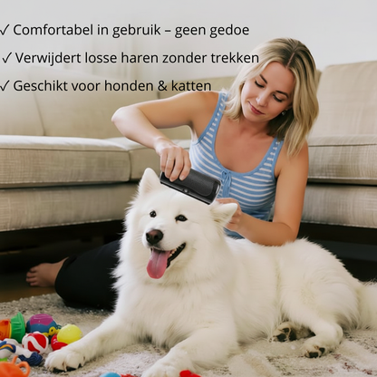 Geen losse haren meer in huis – zonder trekken of stress voor je hond