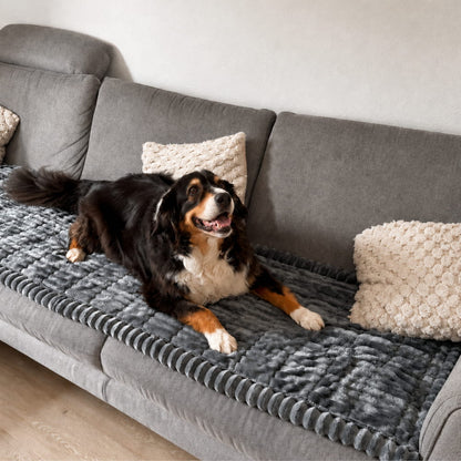 PawLoft™ | Bankbeschermer die je huisdier zelf uitkiest
