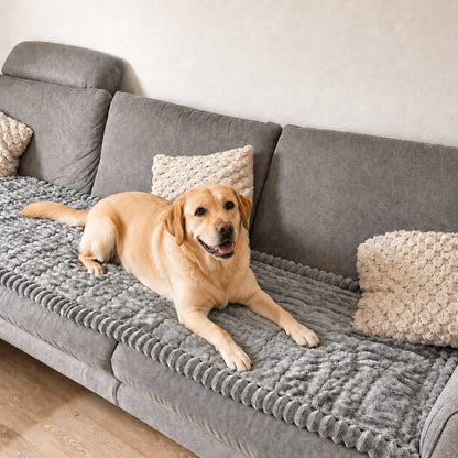 PawLoft™ | Bankbeschermer die je huisdier zelf uitkiest