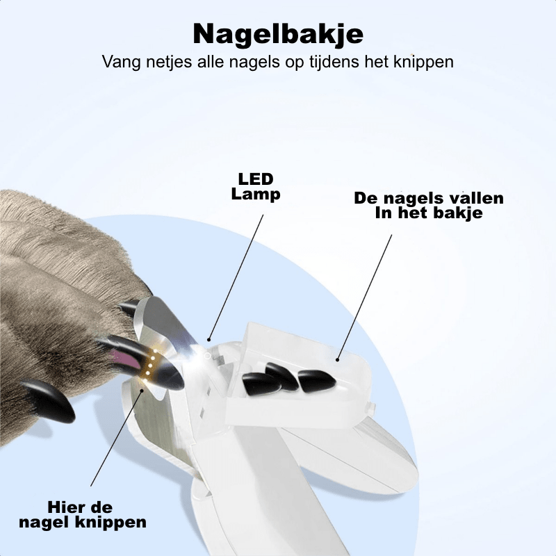 Nooit Meer Te Diep Knippen — Veilig Nagels Knippen met LED