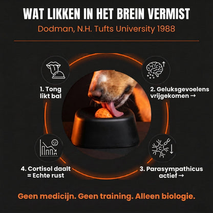 LickEase™ | Rustig en happy, ook als jij er niet bent