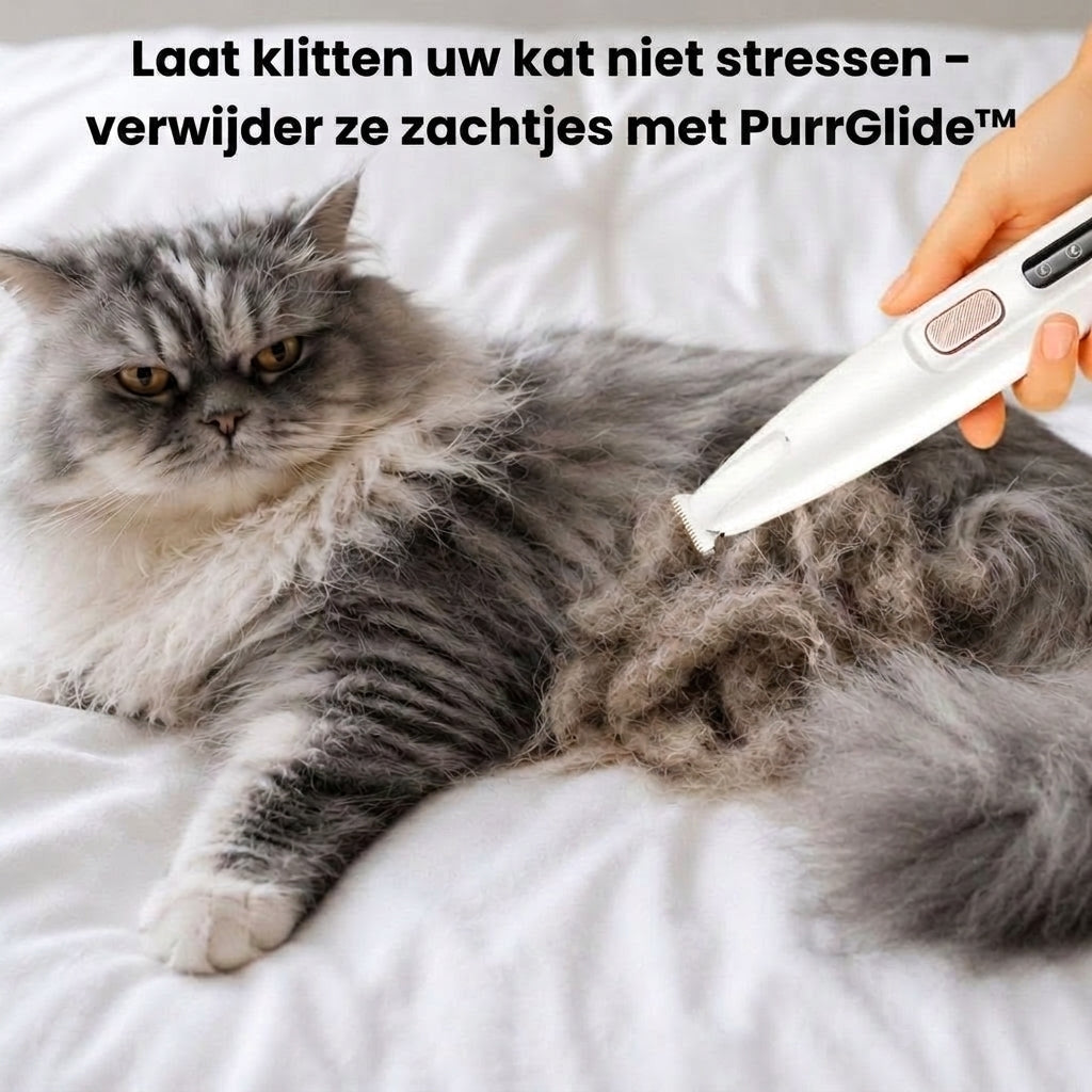 PurrGlide