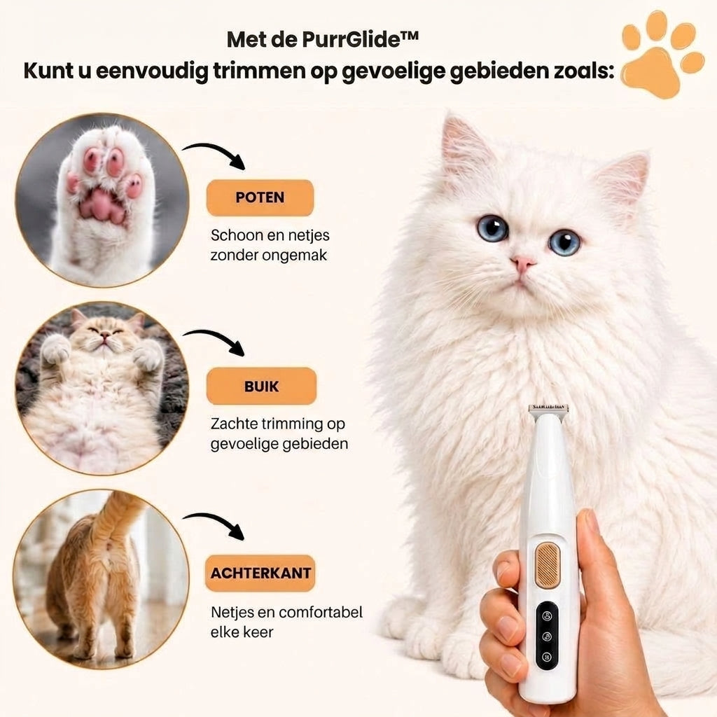 PurrGlide