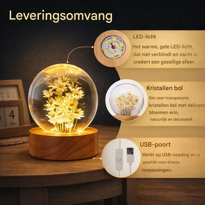 Een Bloem Die Nooit Vergaat – Sfeervolle Bloemen Lamp