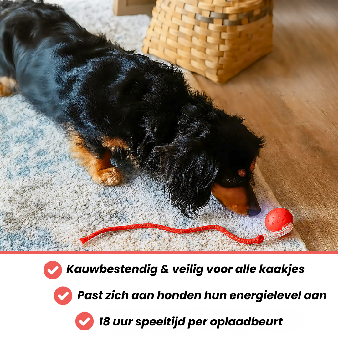 WiggleTail™ Interactieve Speelbal | Houdt je hond actief en blij — ook als jij even weg bent