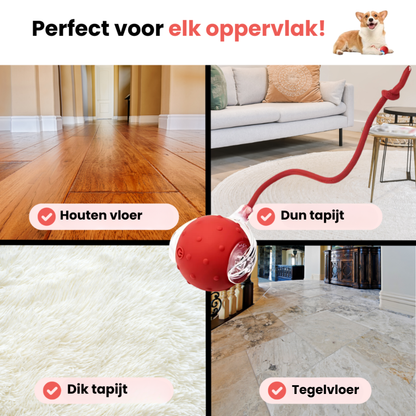 WiggleTail™ Interactieve Speelbal | Houdt je hond actief en blij — ook als jij even weg bent