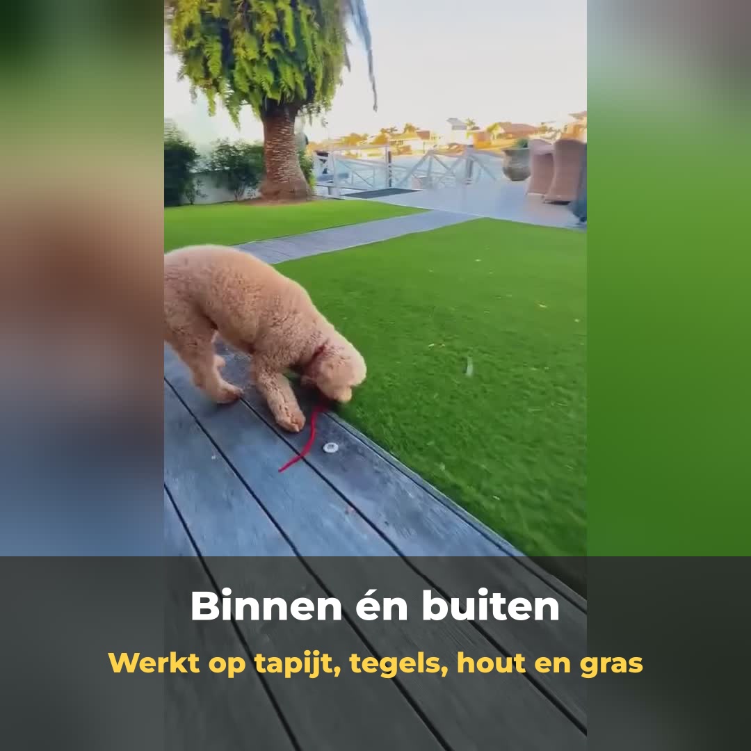 WiggleTail™ Interactieve Speelbal | Houdt je hond actief en blij — ook als jij even weg bent