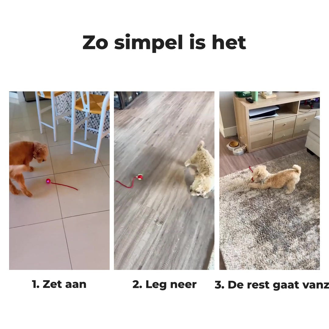 WiggleTail™ Interactieve Speelbal | Houdt je hond actief en blij — ook als jij even weg bent