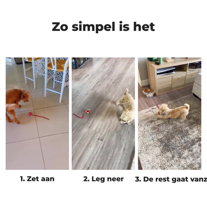WiggleTail™ Interactieve Speelbal | Houdt je hond actief en blij — ook als jij even weg bent